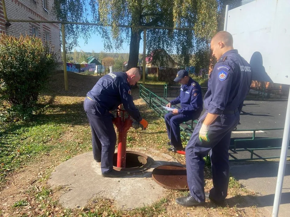 Фото: пресс-служба администрации г.о. Щелково