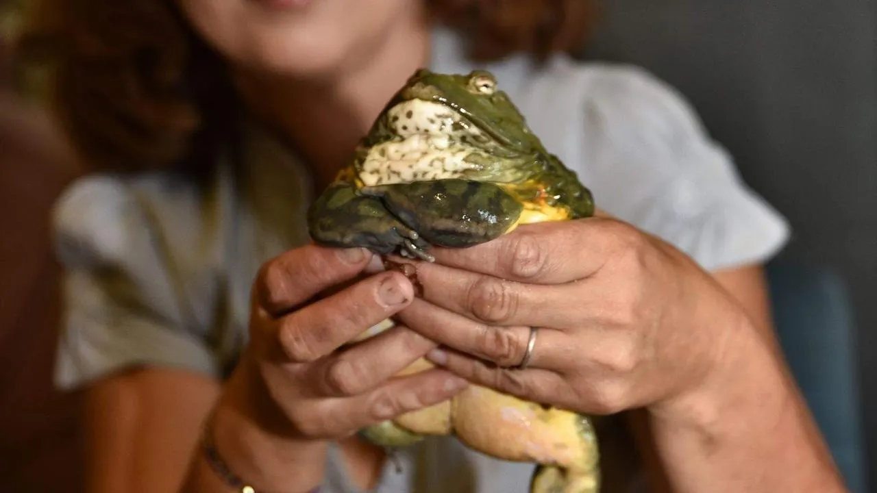 из личного архива Ирины Калининой