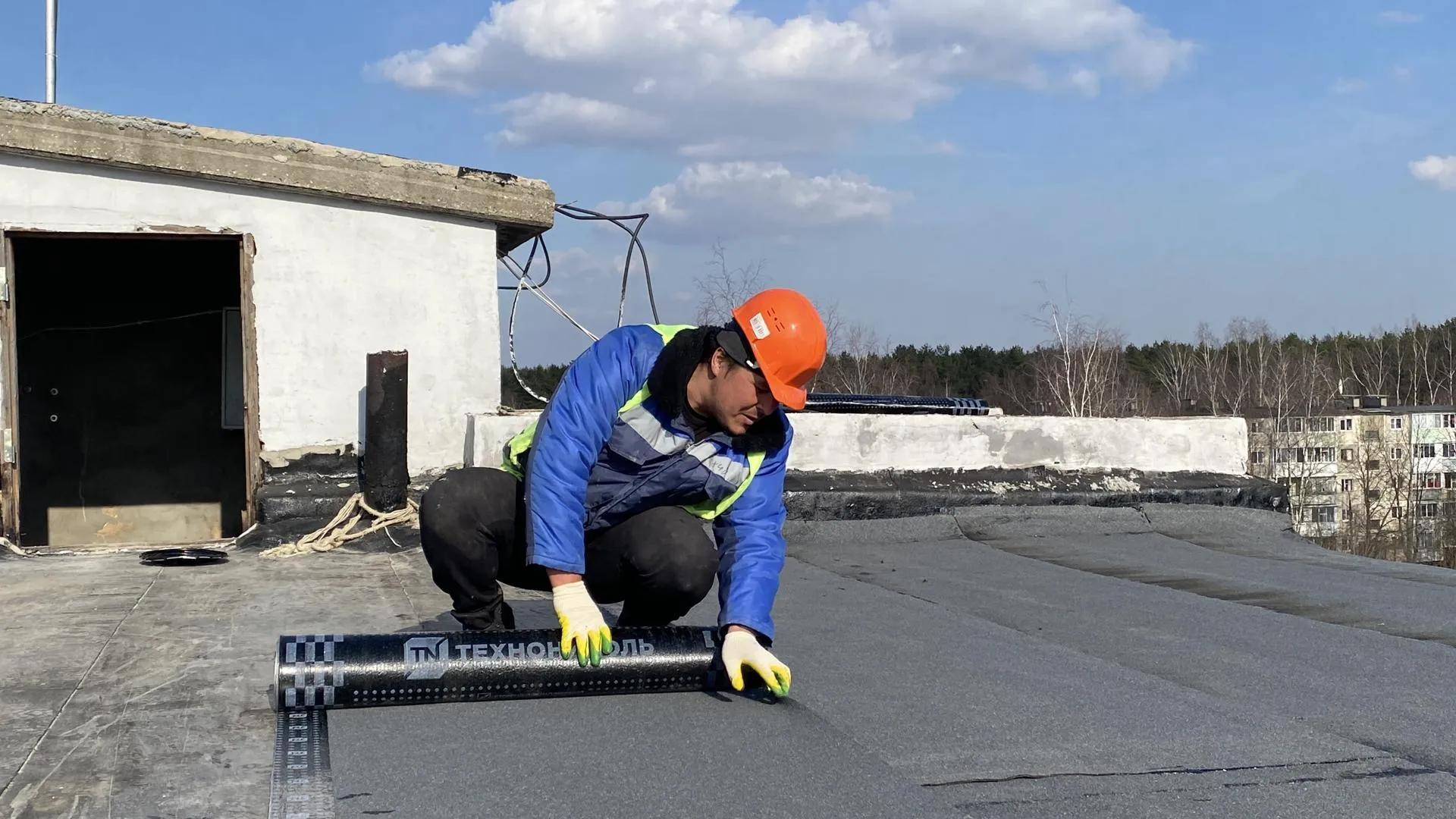 Анна Артюшина