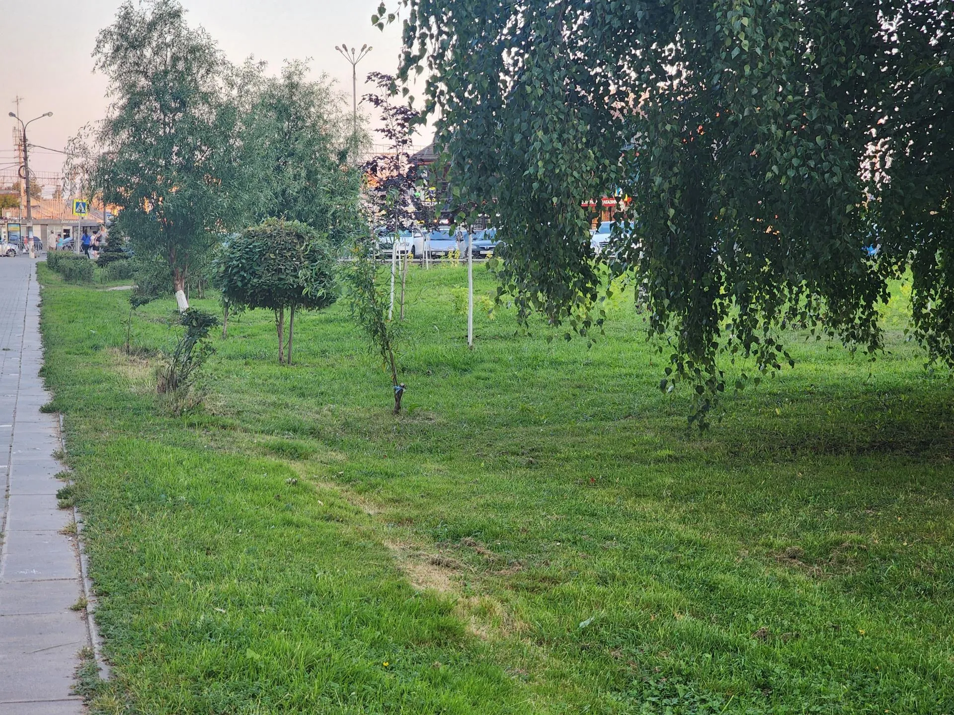 Источник: Алена Притула