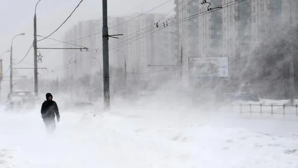 Владимир Песня / РИА Новости