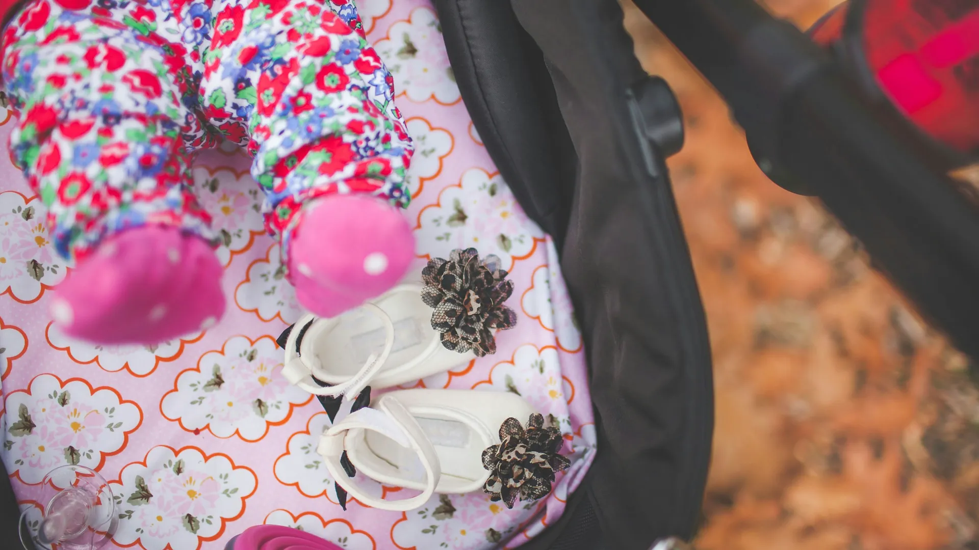 Фото: unsplash.com / photo nic