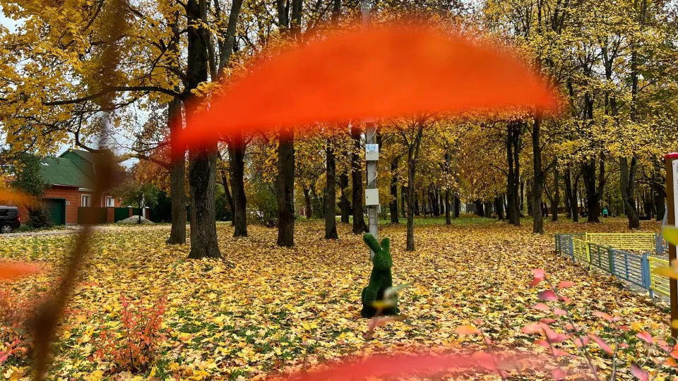 Фото: REGIONS/Елена Фурман