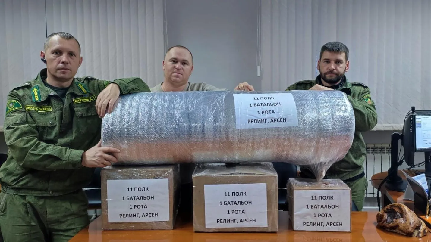 Лесничие из подмосковного Егорьевска отправили гуманитарную помощь участникам СВО