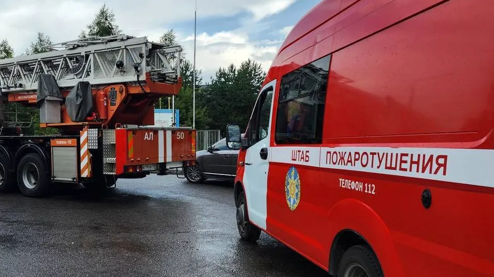 Фото: пресс-служба ГУ МЧС России по Московской области
