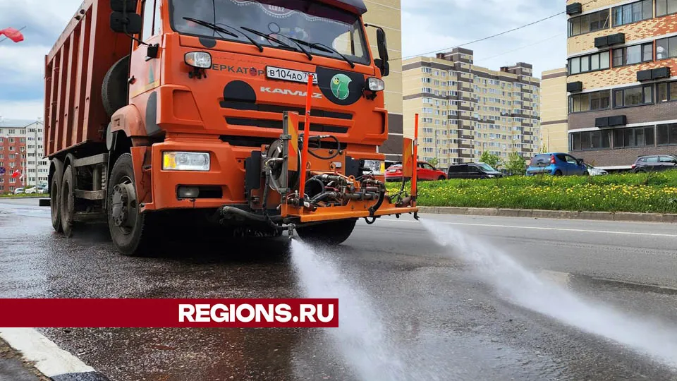 Фото: Валерия Тингаева