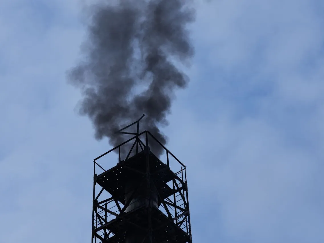 Фото: МедиаБанк Подмосковья/Дмитрий Зайчиков