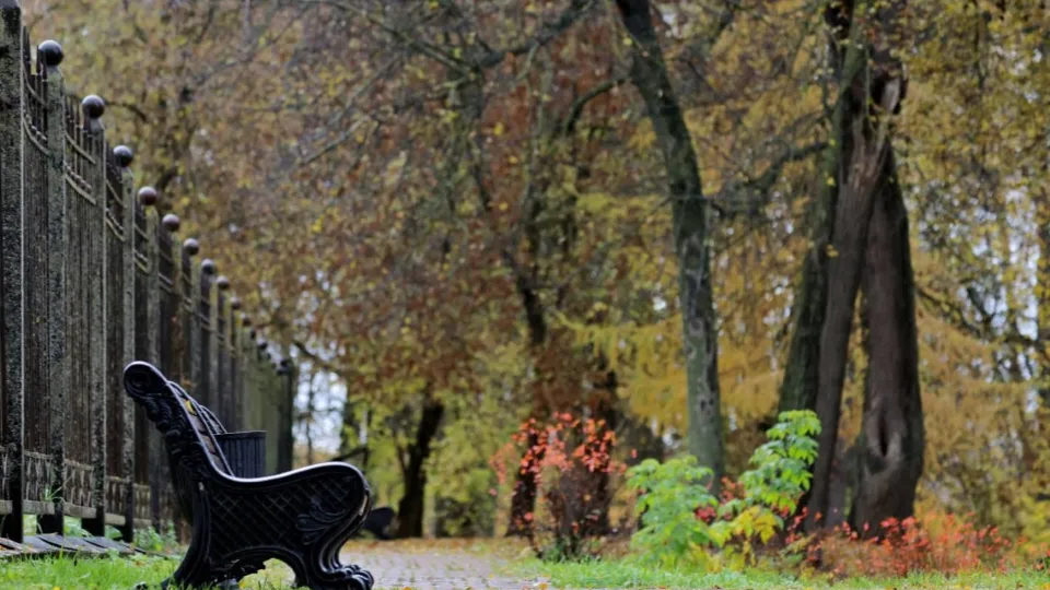 Фото: t.me/chekhovmuseum