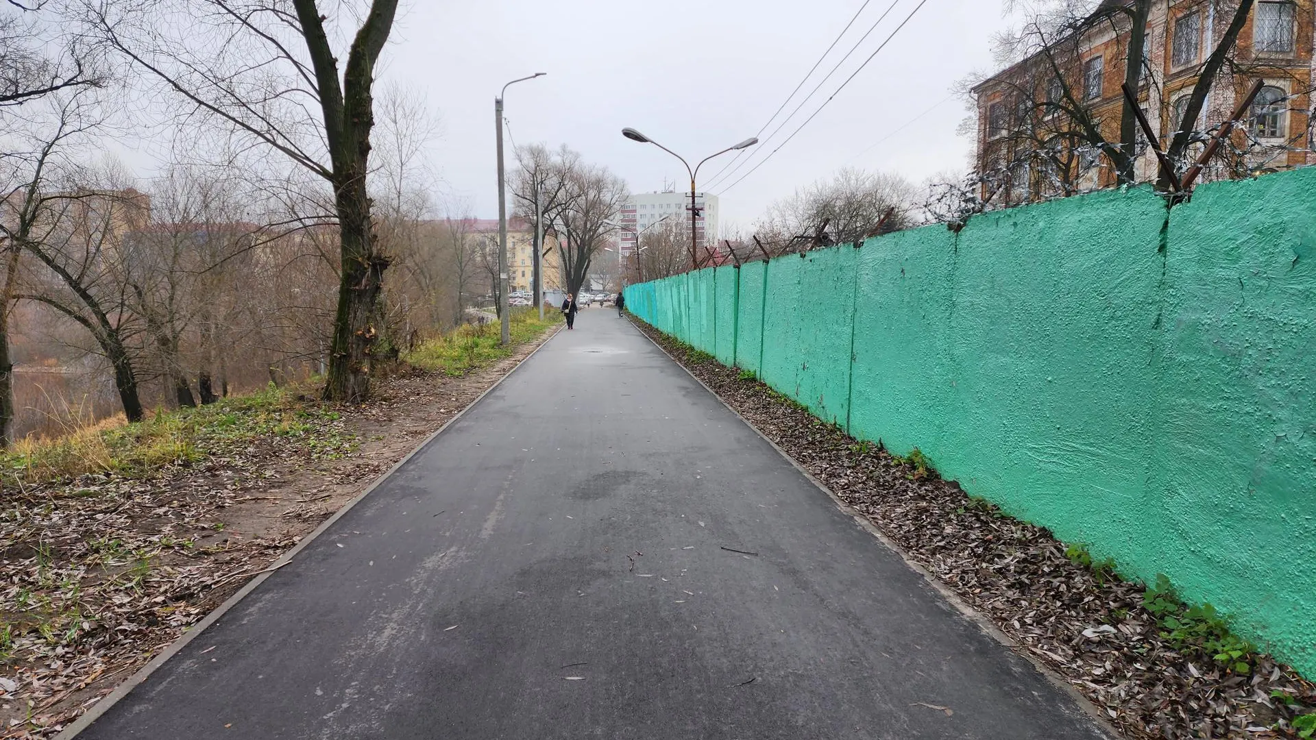 Ирина Моисеева