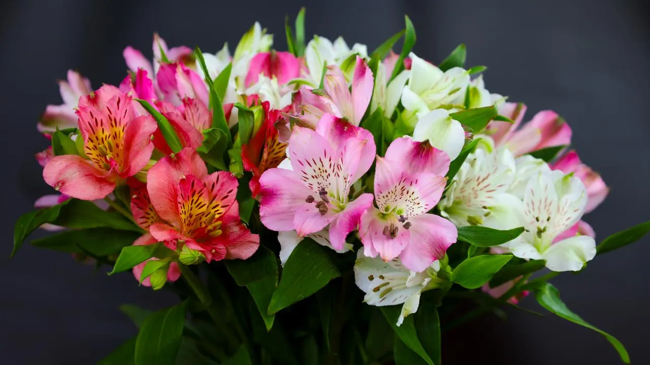 istockphoto.com/Oleh Strus