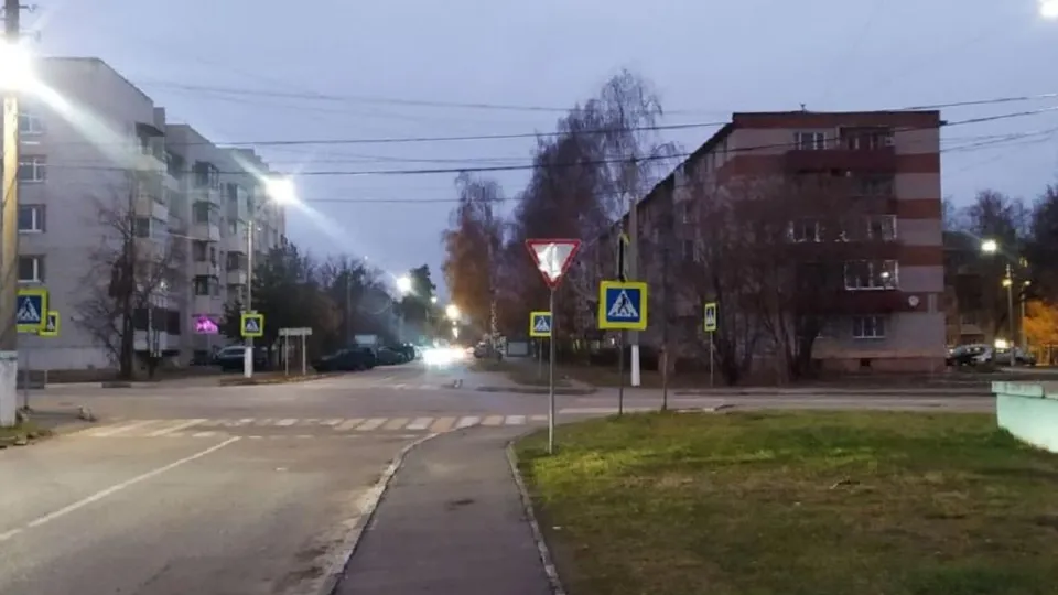 Фото: пресс-служба администрации городского округа Шатура