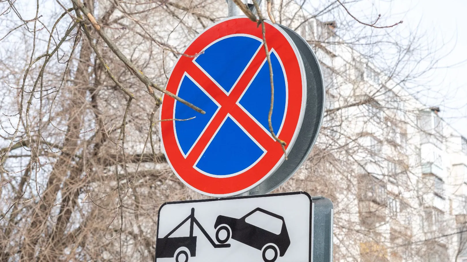 Александр Щербаков