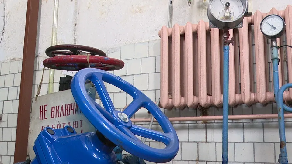 Фото: МедиаБанк Подмосковья/Ксения Казакова