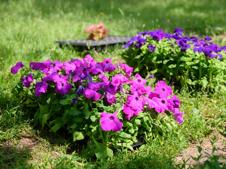 Фото: пресс-служба администрации г.о. Лыткарино&nbsp;