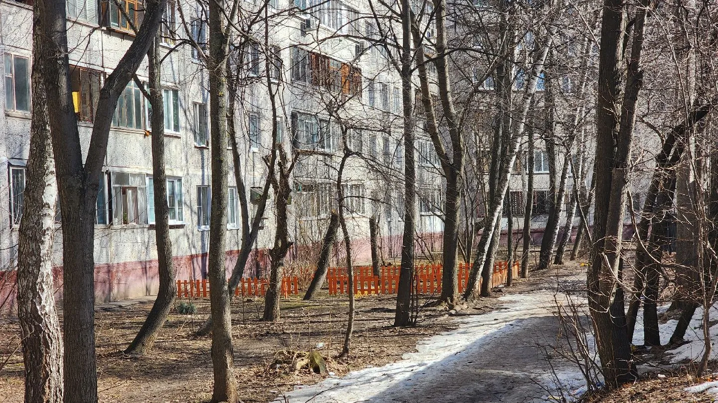 Фото: МедиаБанк Подмосковья/Роман Савельев