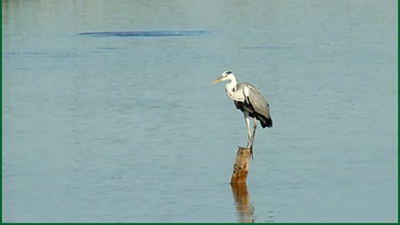 Природоохранный фонд "Верховье"