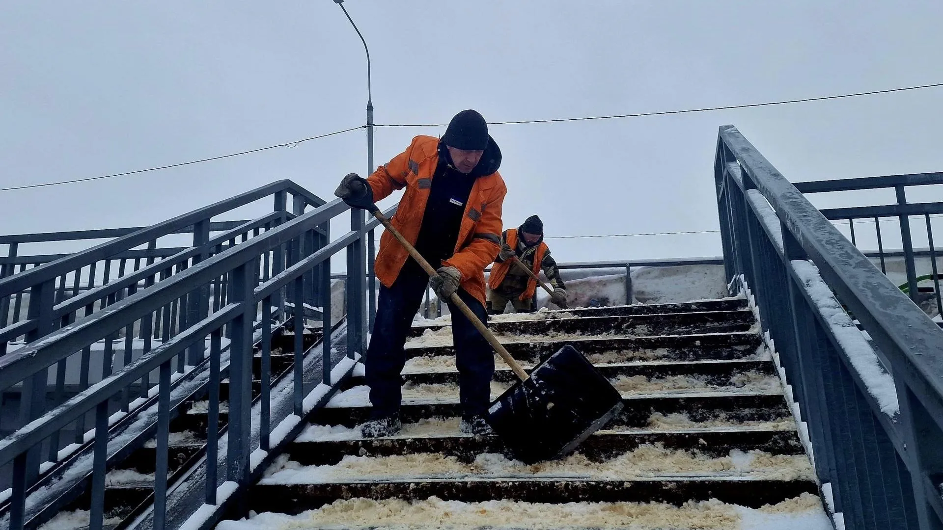 REGIONS/Ольга Шаронова