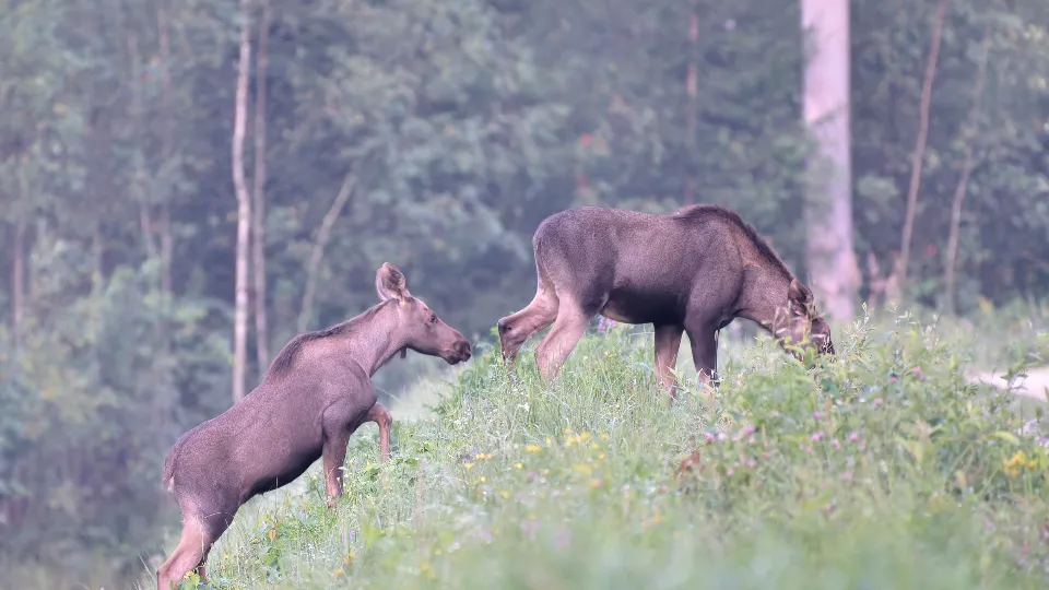 Фото: Александр Бакланов