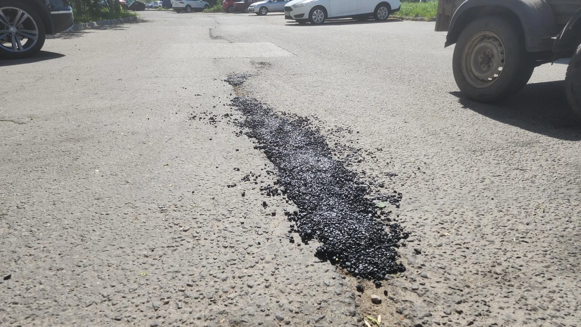 Фото: Иван Петрушин