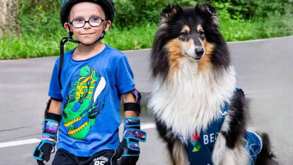 Фото: пресс-служба администрации г. о. Подольск