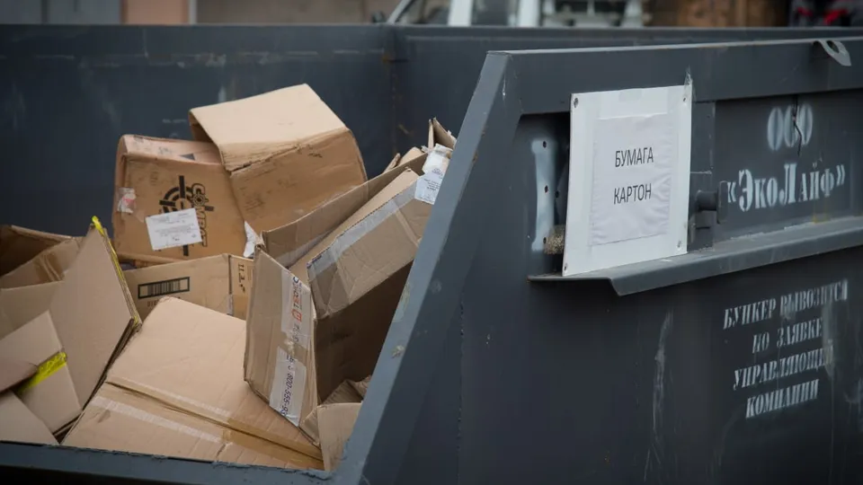 Фото: администрация городского округа Коломна