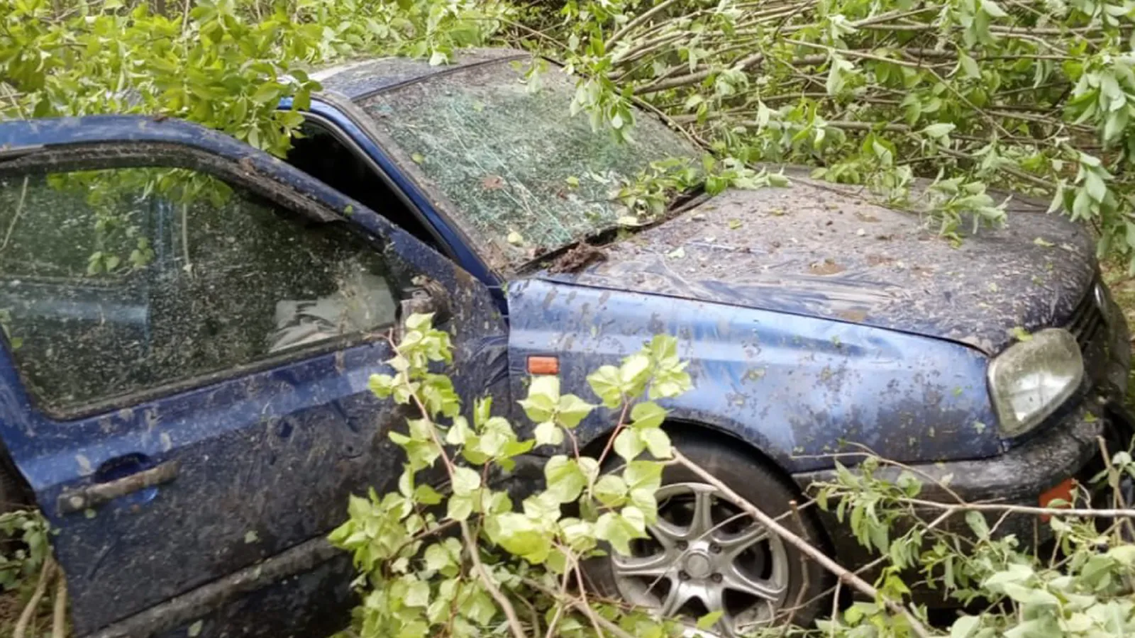Фото: ГКУ МО «Мособлпожспас»