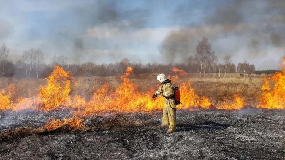 Фото: пресс-служба ГКУ МО «Мособлпожспас»