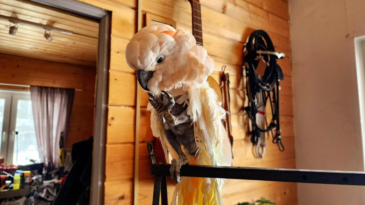 REGIONS/Мария Панина