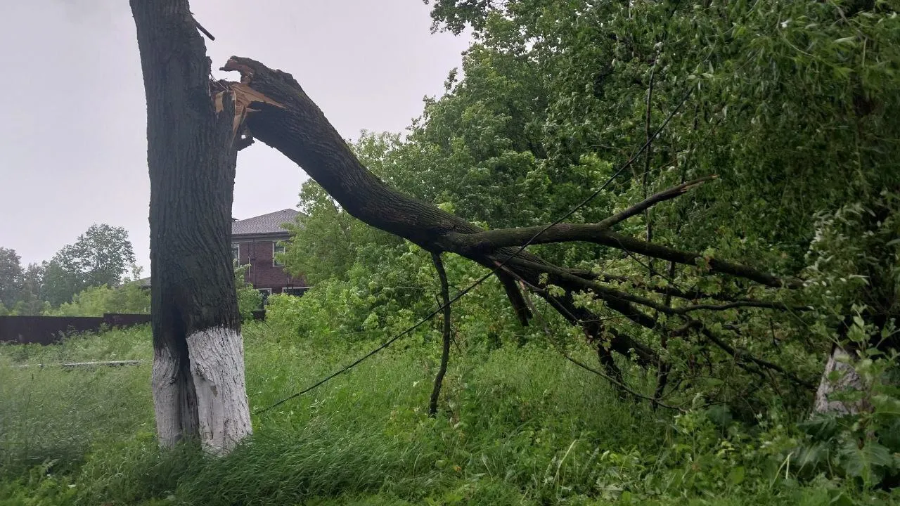 Фото: пресс-служба администрации г.о. Кашира