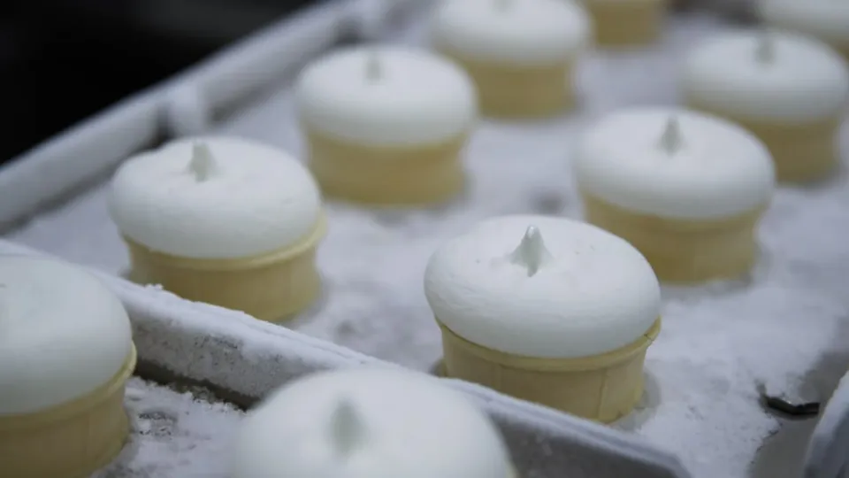 Фото: пресс-служба администрации г.о. Долгопрудный