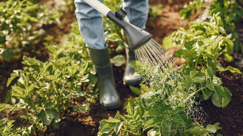 Фото: freepik.com