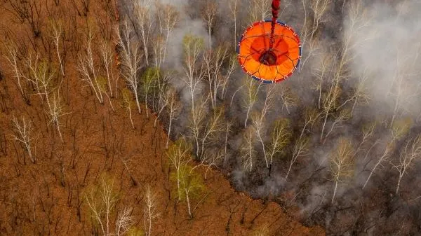 Игорь Агеенко / РИА Новости