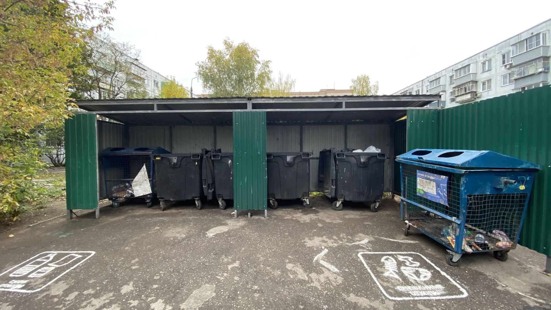 Фото: Светлана Борщева