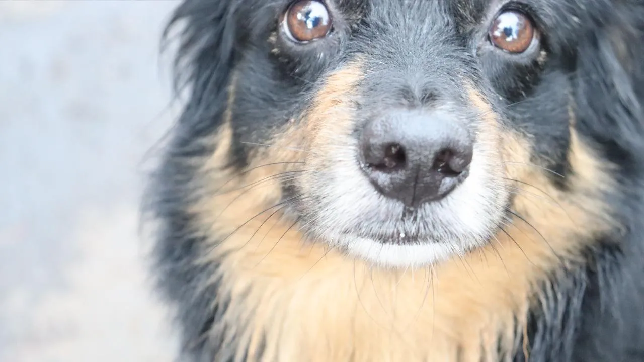 istockphoto.com/Luigi Spina