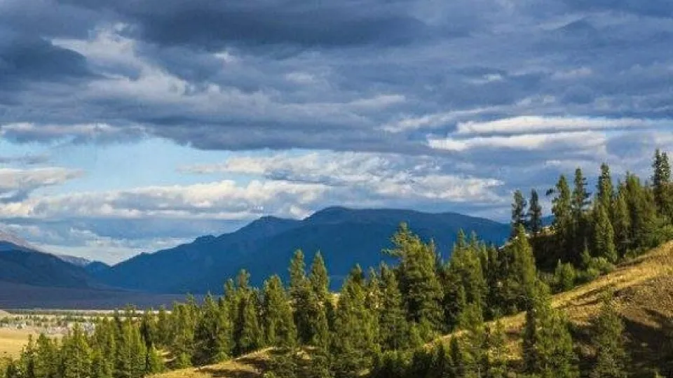 Фото: администрация Пущино