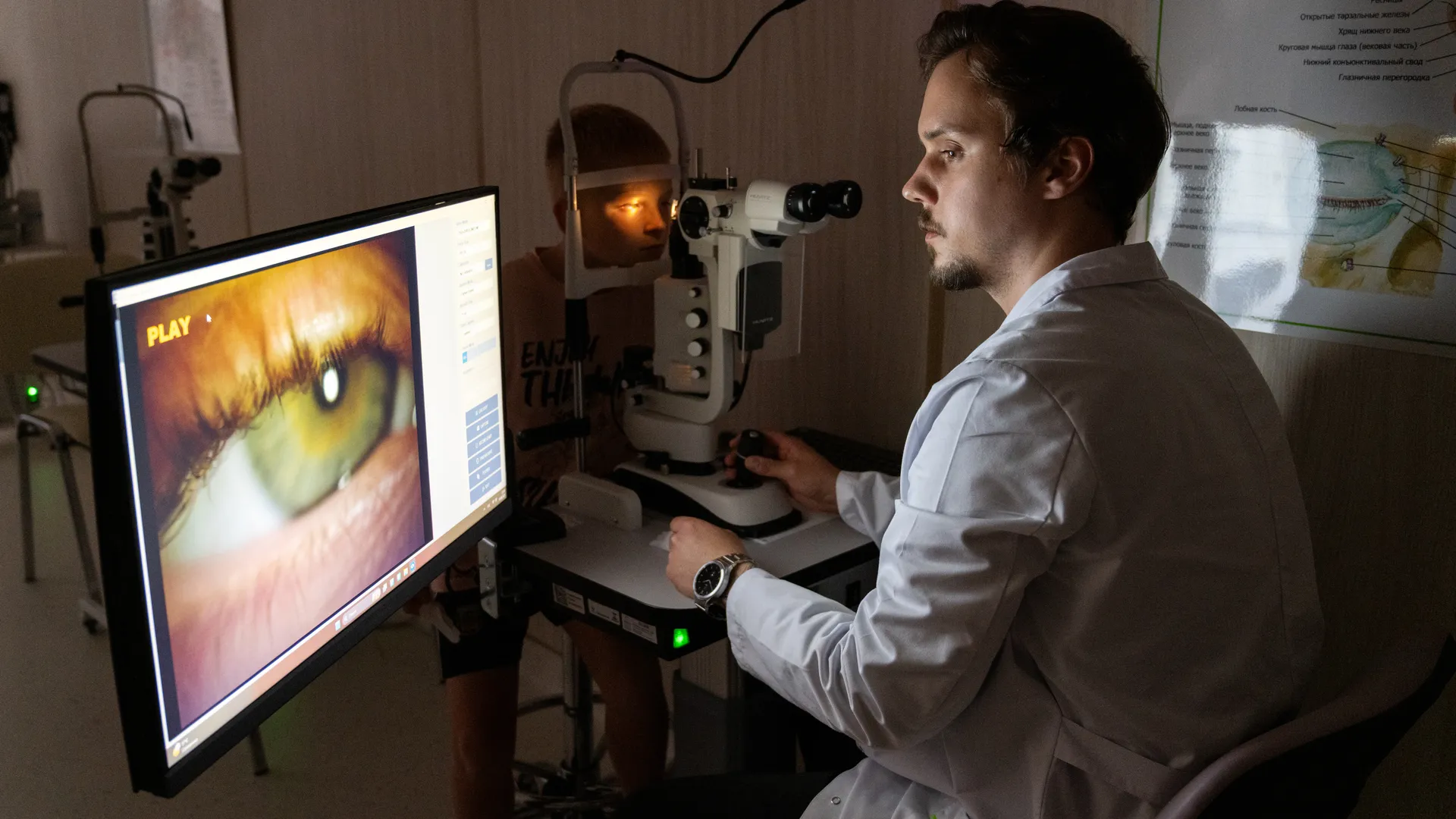 Ешьте четыре продукта: как офисным работникам не ослепнуть перед ноутбуком