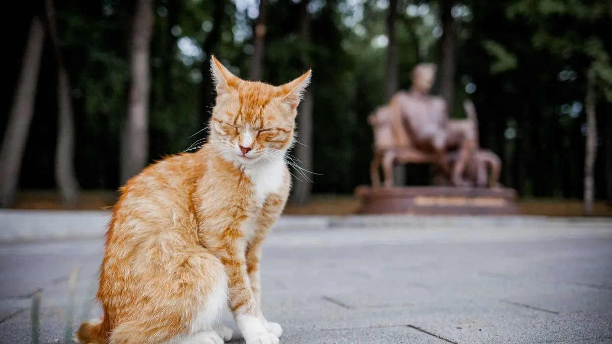 пресс-служба Минсельхозпрод МО