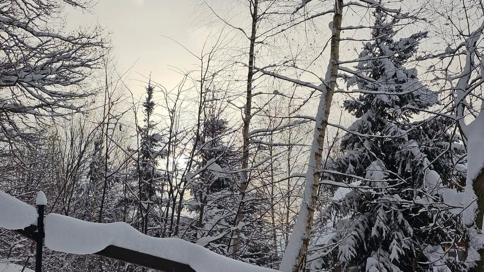 Фото: REGIONS/Александр Дрожжин