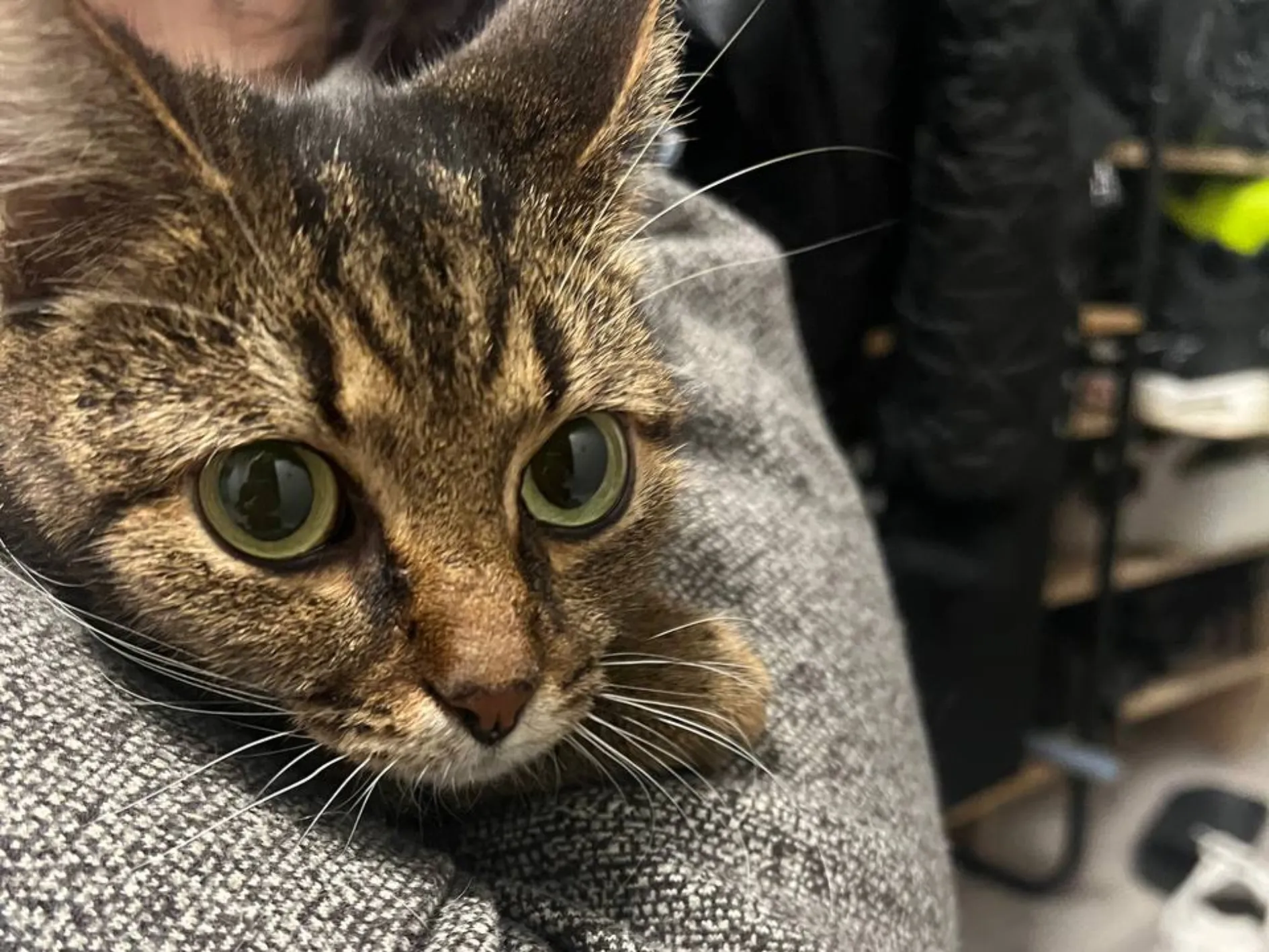 Фото: Анастасия Ф.