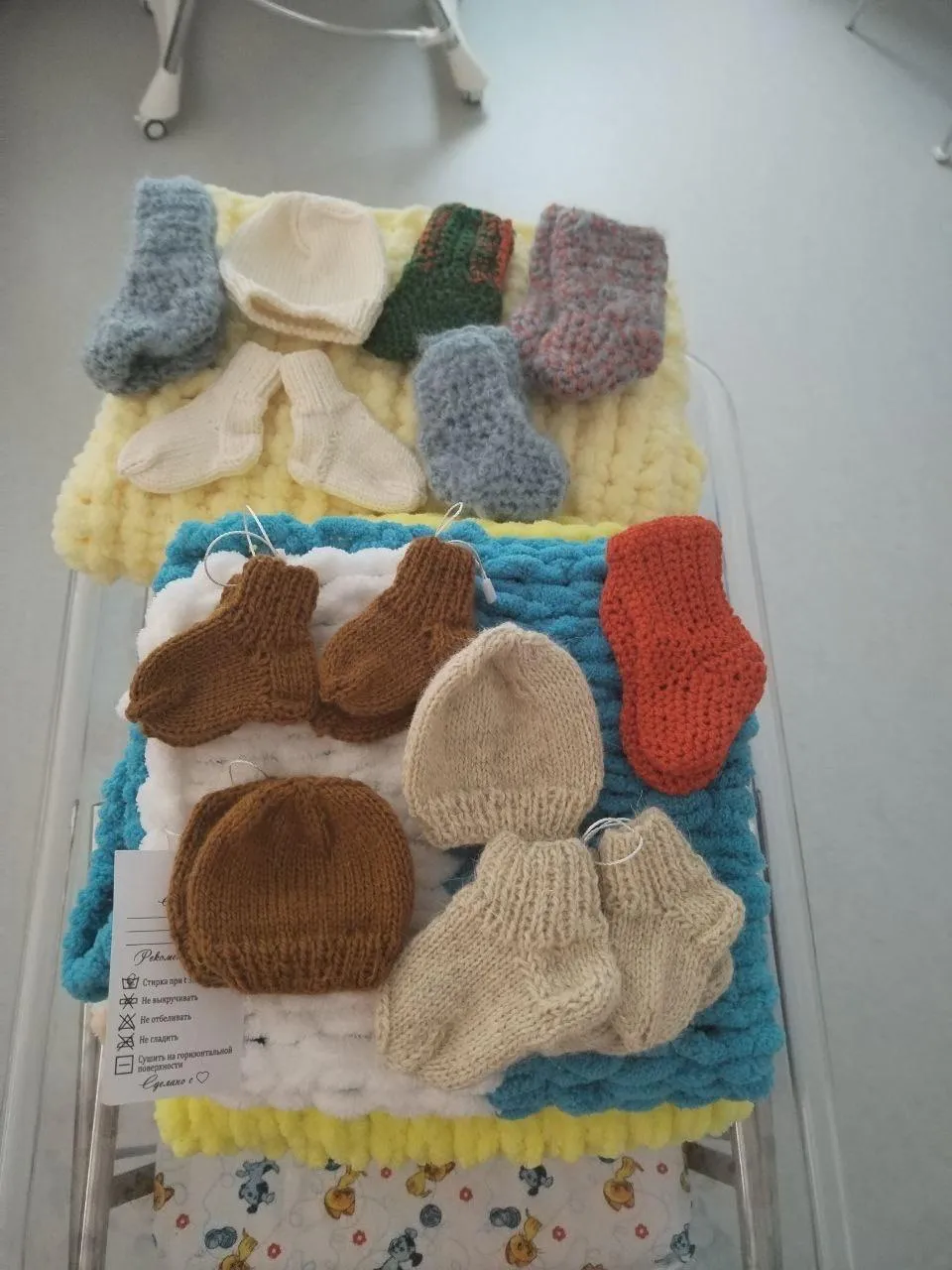 Фото: Союз многодетных Истринского района "ВСЕ ВМЕСТЕ" / ВКонтакте