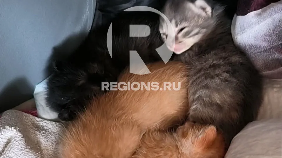 Фото: личный архив Гульнары Хайретдиновой