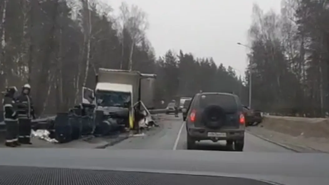 Фото: скриншот видео