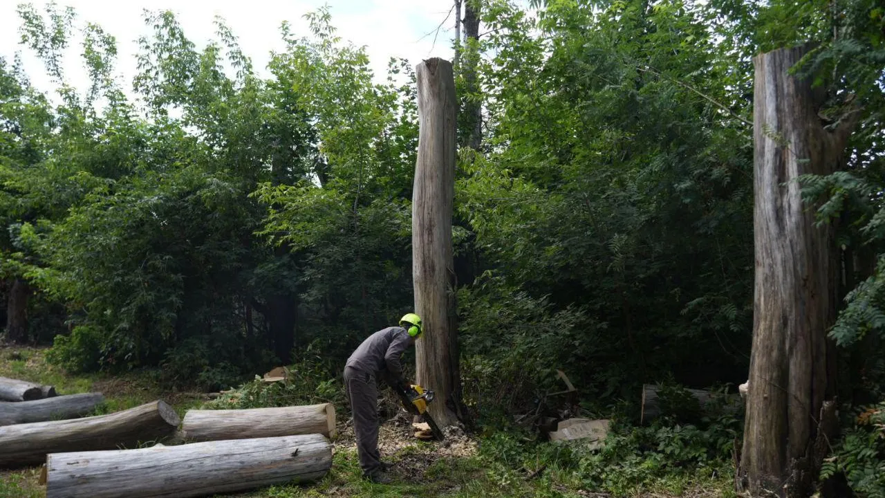 Фото: пресс-служба Администрации Сергиево-Посадского г.о.