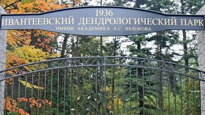Константин Гасанов / Ивантеевский лесопитомник