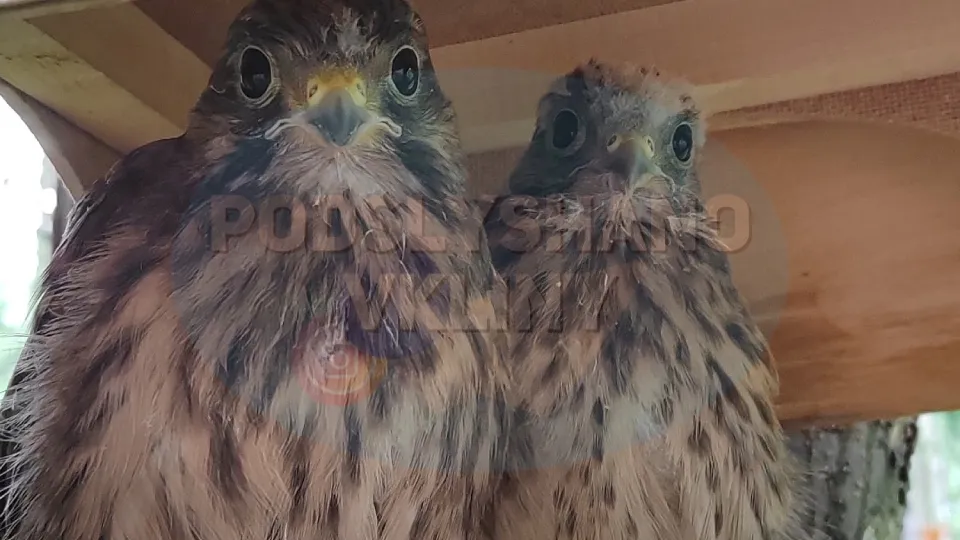 Фото: vk.com/Подслушано в Клину