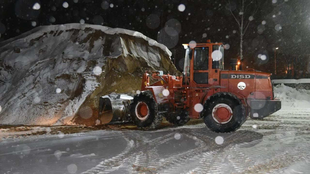 Владимир Останин