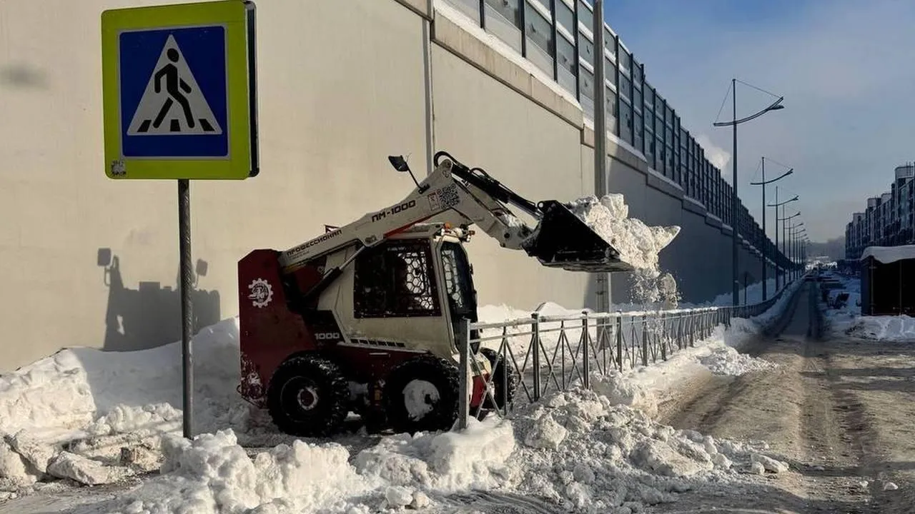 t.me/artsuvorov_live