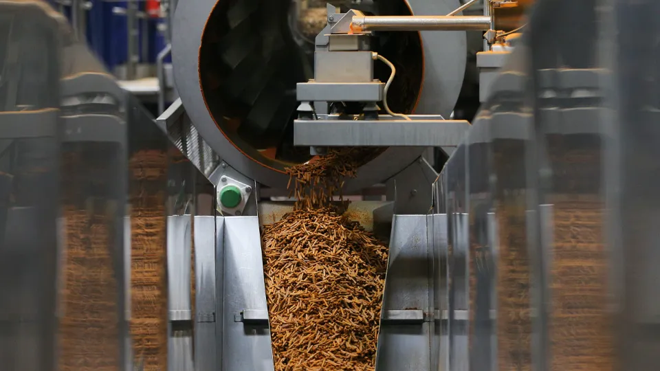 Фото: ТАСС/Эрик Романенко