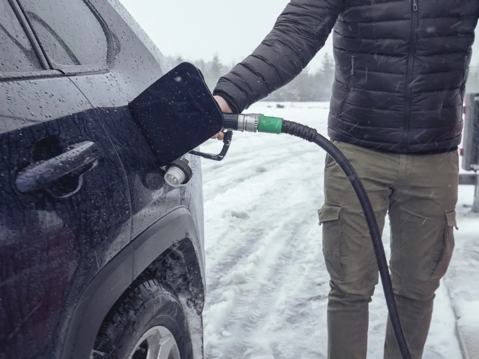 Фото: istockphoto.com/Lajst