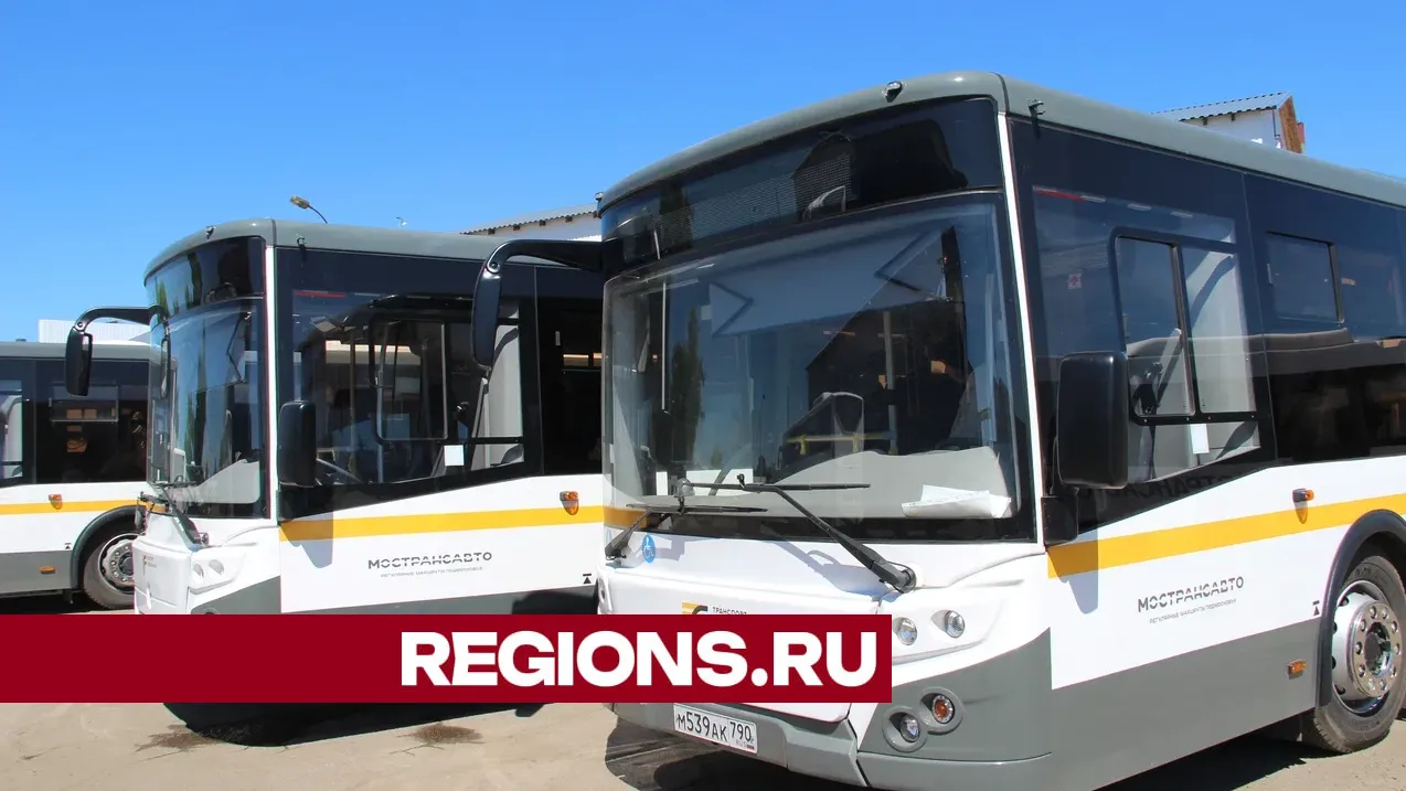 Фото: Василий Тремасов